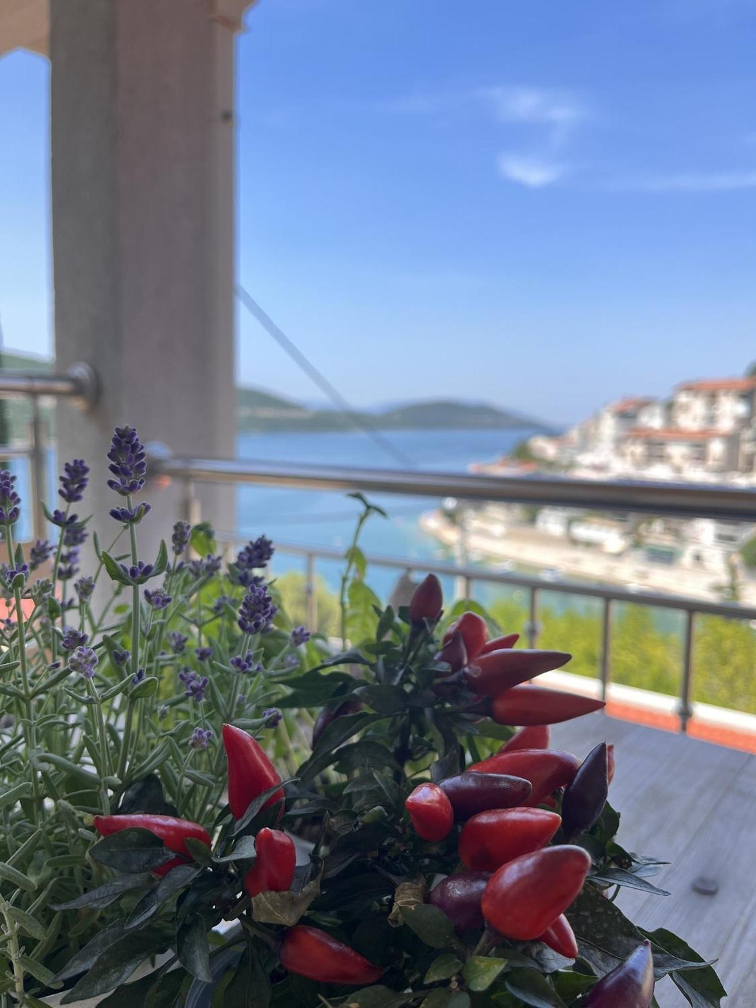 Villa Ljiljana Neum Ruang foto